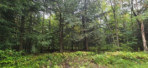 Vacant Land For Sale - Sprague Road<br/> Afton, NY 13730