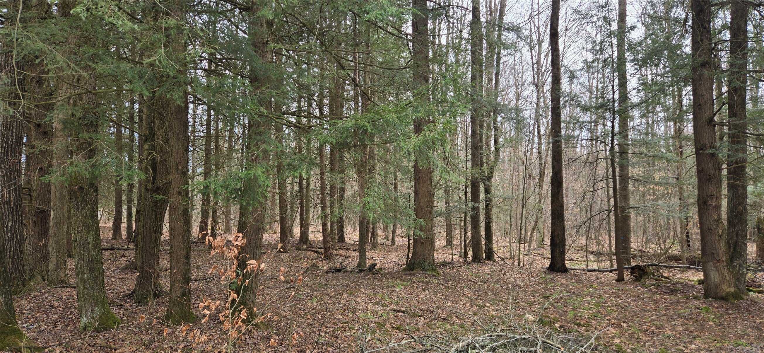 0 Sprague Road - Photo 3