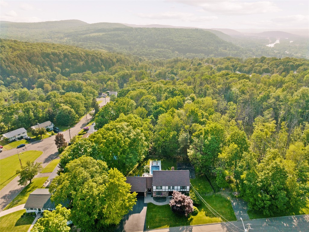 10 Spring Lane, Binghamton, New York image 2