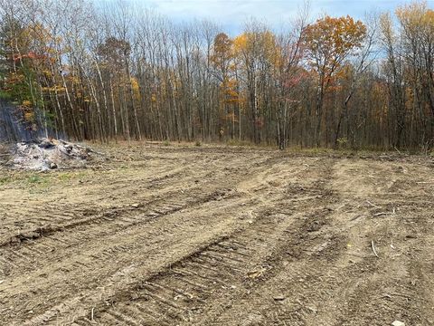 Vacant Land For Sale - 156 Dodd Road<br/> Windsor, NY 13865