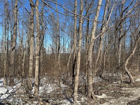 Vacant Land For Sale - 45 Airport Road<br/> Binghamton, NY 13901