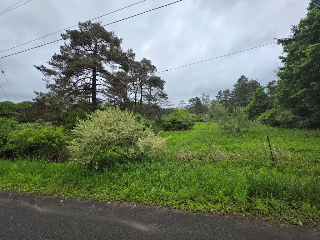 Gardner Road, Apalachin, New York image 6