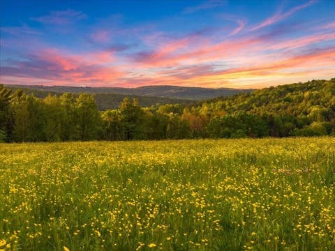 Vacant Land For Sale - 143 Swift Road<br/> Binghamton, NY 13905
