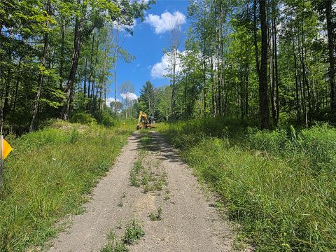 Vacant Land For Sale - 422 Blackman Hill Rd Rd<br/> Berkshire, NY 13736