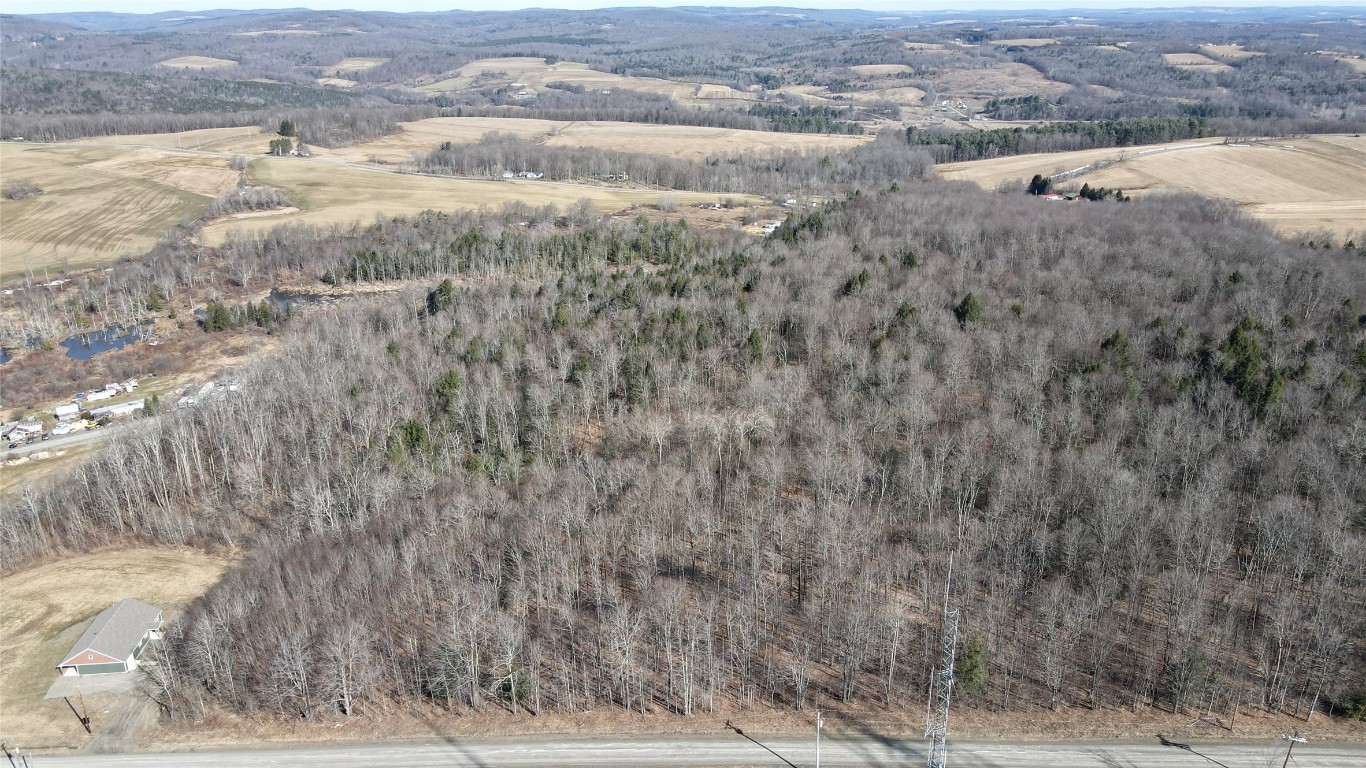 604 Popple Hill Rd, Berkshire, New York image 12