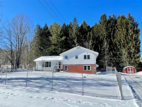 Homes For Sale - 507 Walker Road<br/> Endicott, NY 13760
