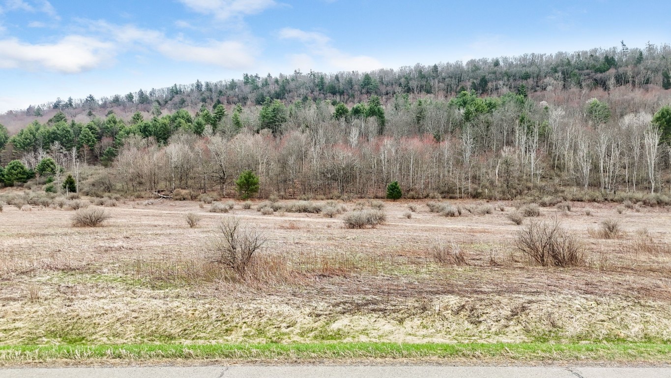 4134 State Route 38, Owego, New York image 2