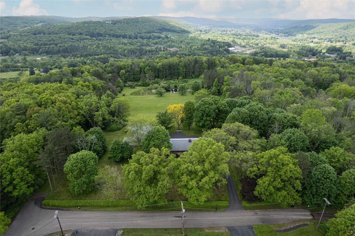 23 William Road, Binghamton, New York image 45