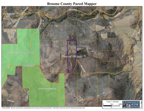 Vacant Land For Sale - 79 Saxby Road<br/> Windsor, NY 13865