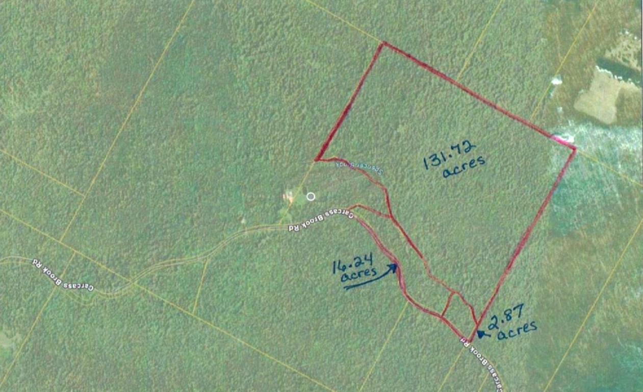 Carcass Road, Walton, New York image 9