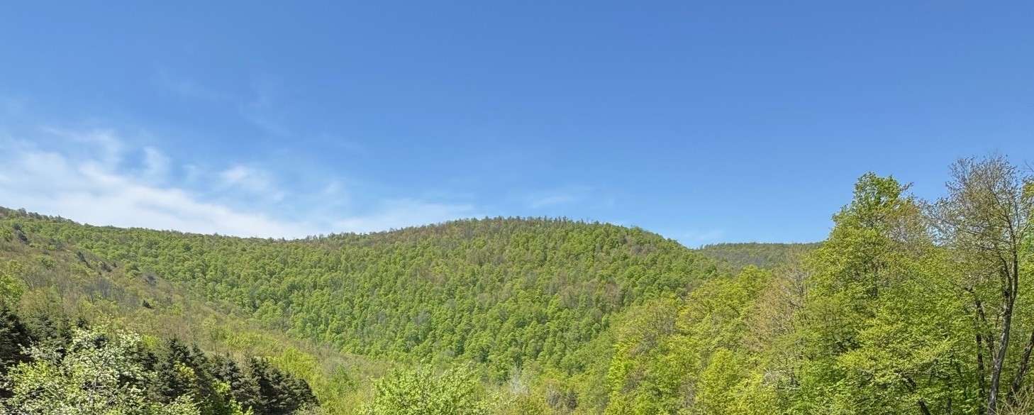 Carcass Road, Walton, New York image 1