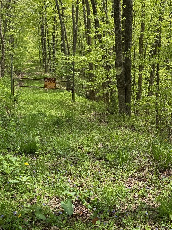 Carcass Road, Walton, New York image 7
