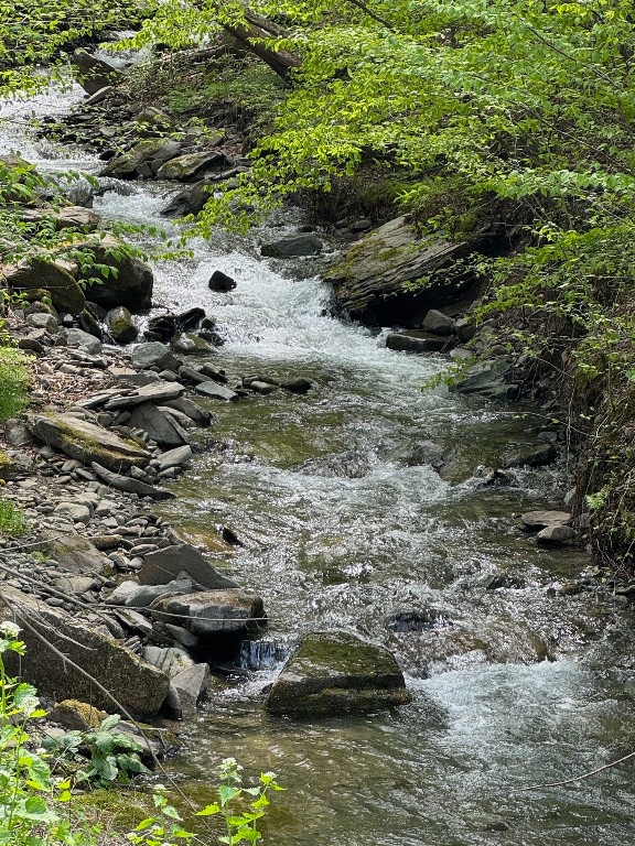 Carcass Road, Walton, New York image 2