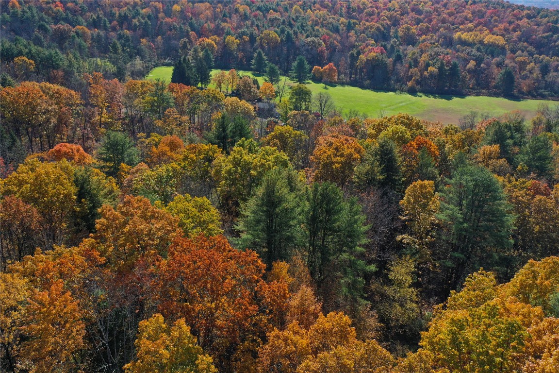 Casterline Road, Endicott, New York image 25