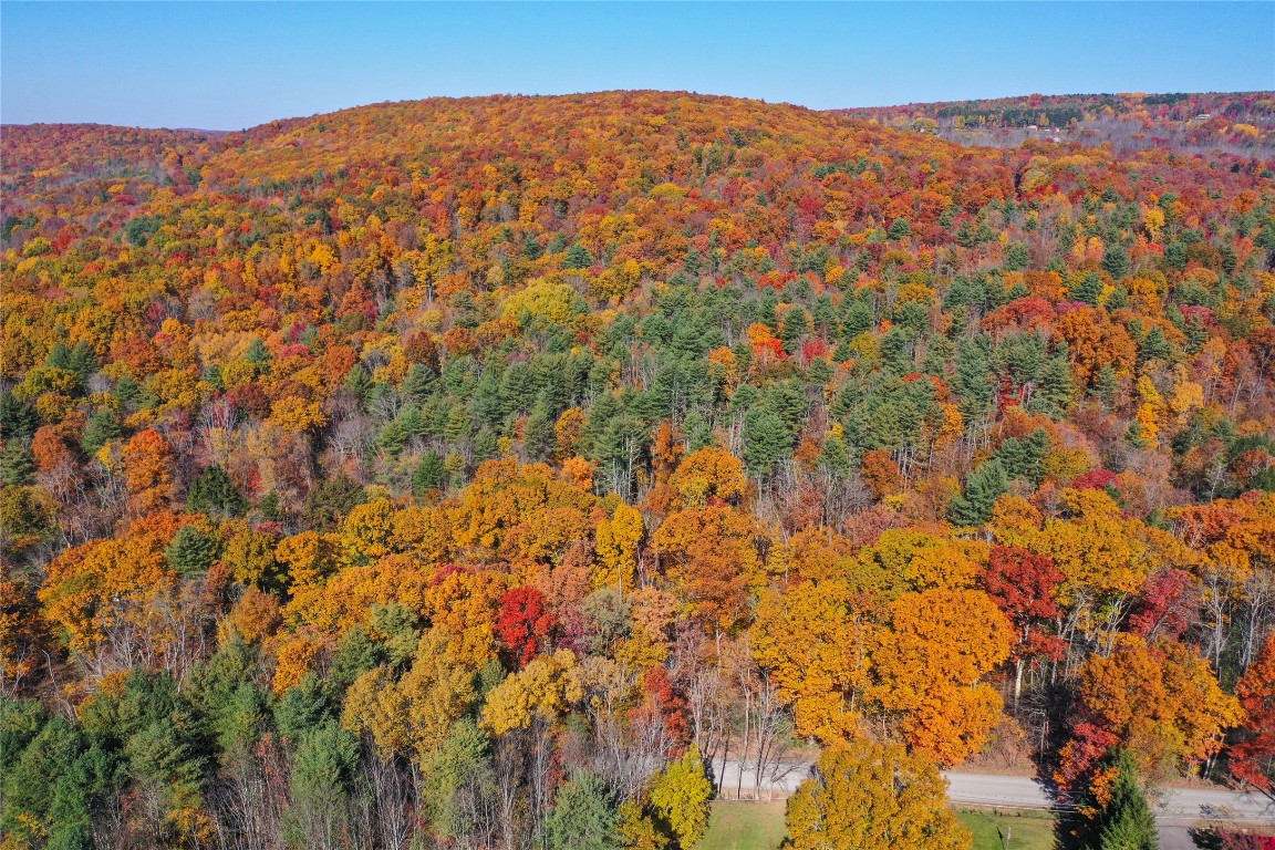 Casterline Road, Endicott, New York image 15