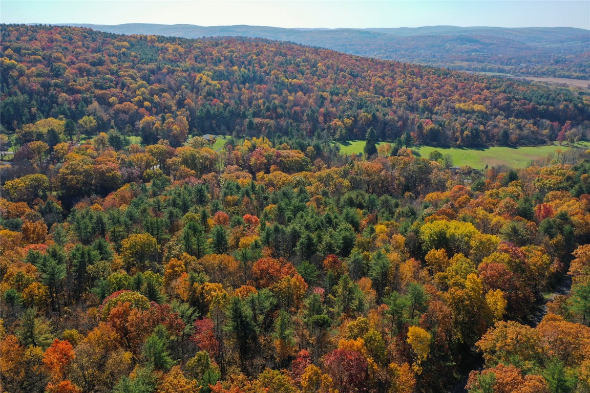 Casterline Road, Endicott, New York image 7