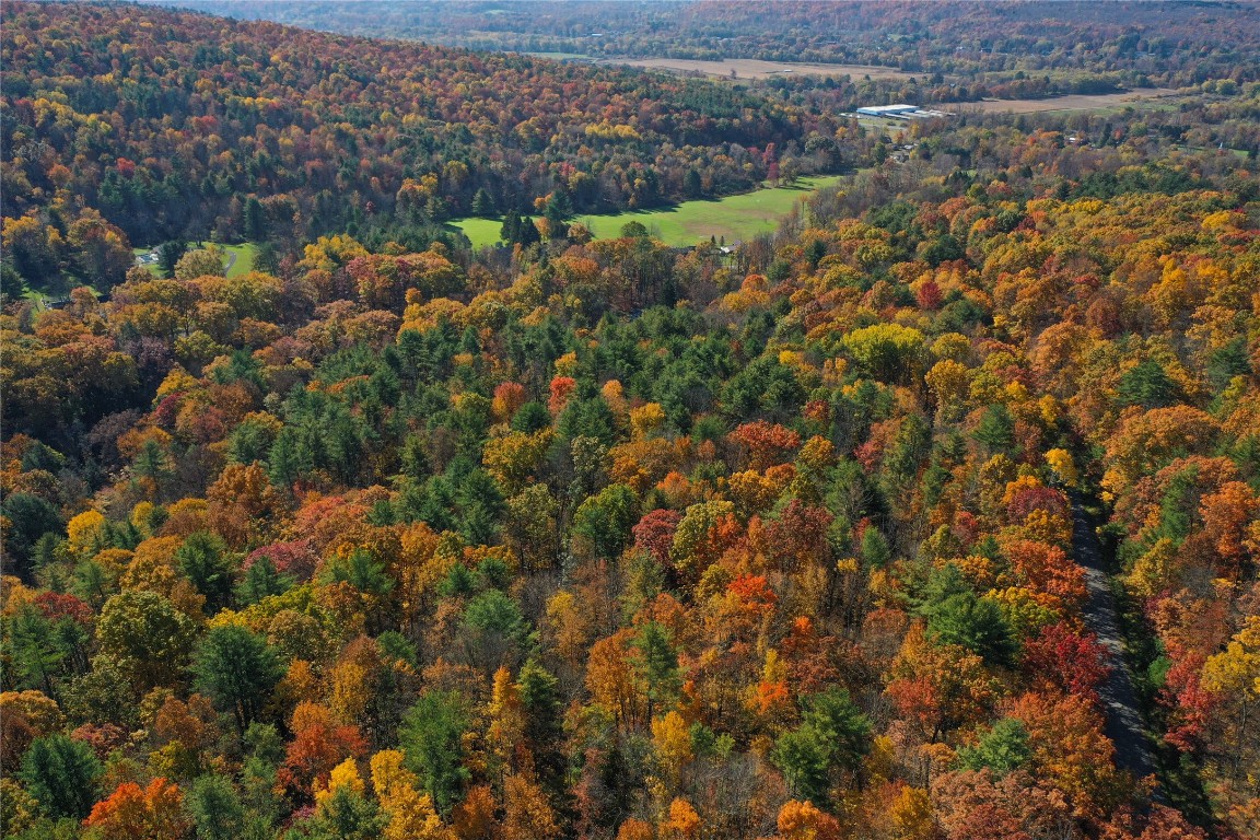 Casterline Road, Endicott, New York image 9