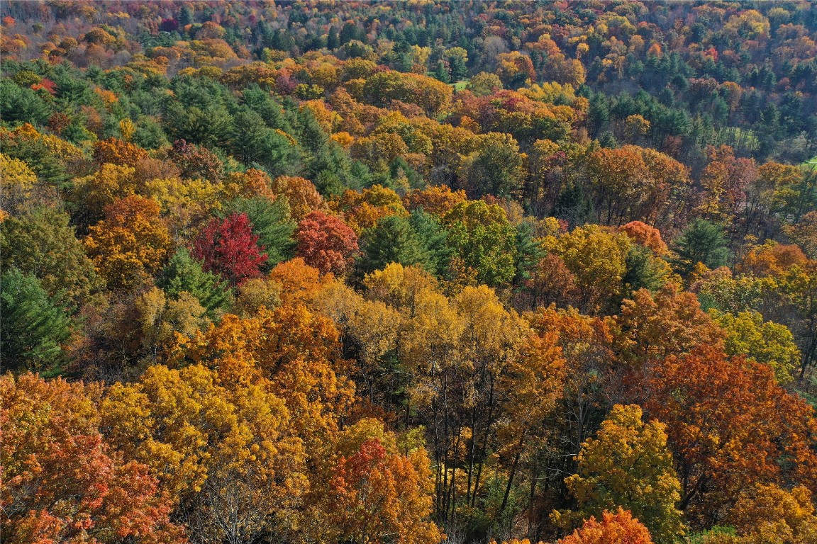 Casterline Road, Endicott, New York image 26