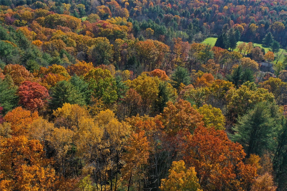 Casterline Road, Endicott, New York image 24