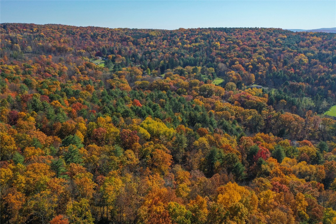 Casterline Road, Endicott, New York image 6