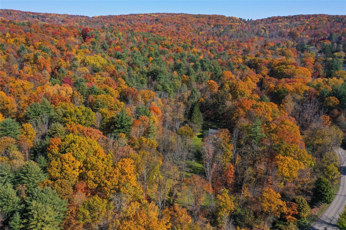 Casterline Road, Endicott, New York image 18