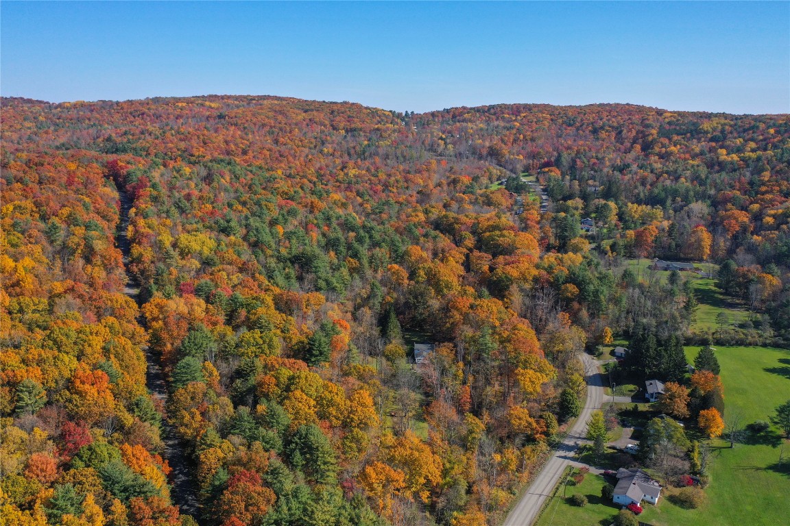 Casterline Road, Endicott, New York image 19