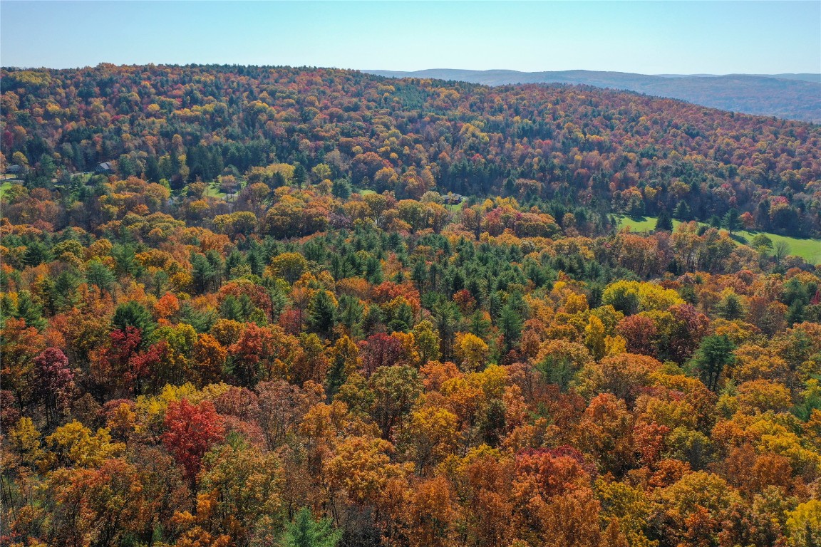 Casterline Road, Endicott, New York image 8