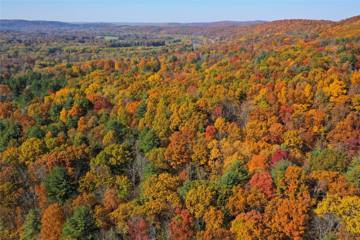 Casterline Road, Endicott, New York image 14