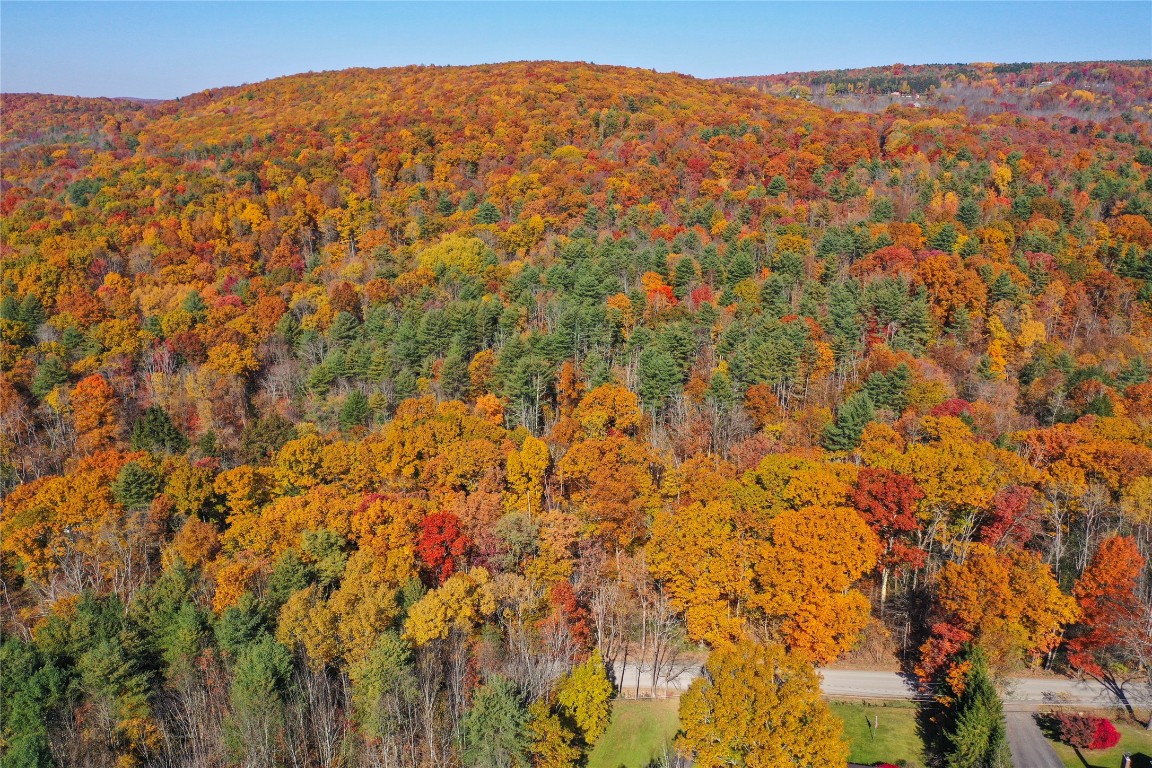 Casterline Road, Endicott, New York image 17