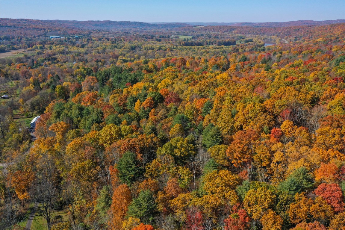 Casterline Road, Endicott, New York image 13