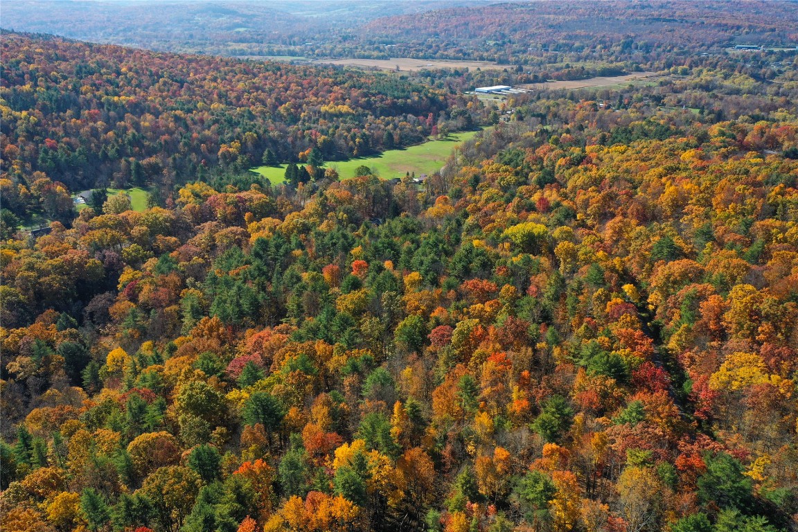 Casterline Road, Endicott, New York image 10