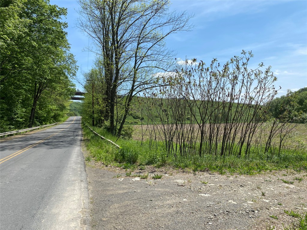 91 Tunnel /75 Cr 221 Road, Port Crane, New York image 8