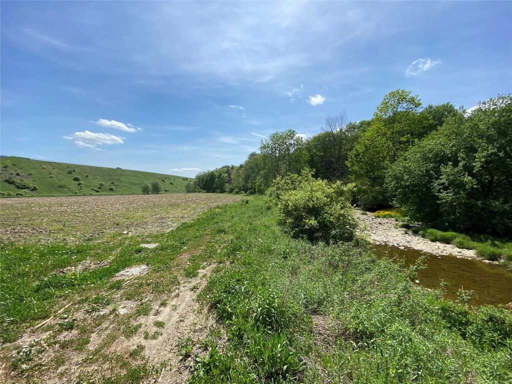 91 Tunnel /75 Cr 221 Road, Port Crane, New York image 4