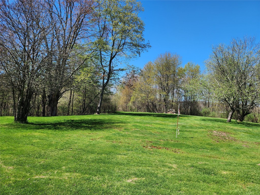 1725 County Road 32, Greene, New York image 40