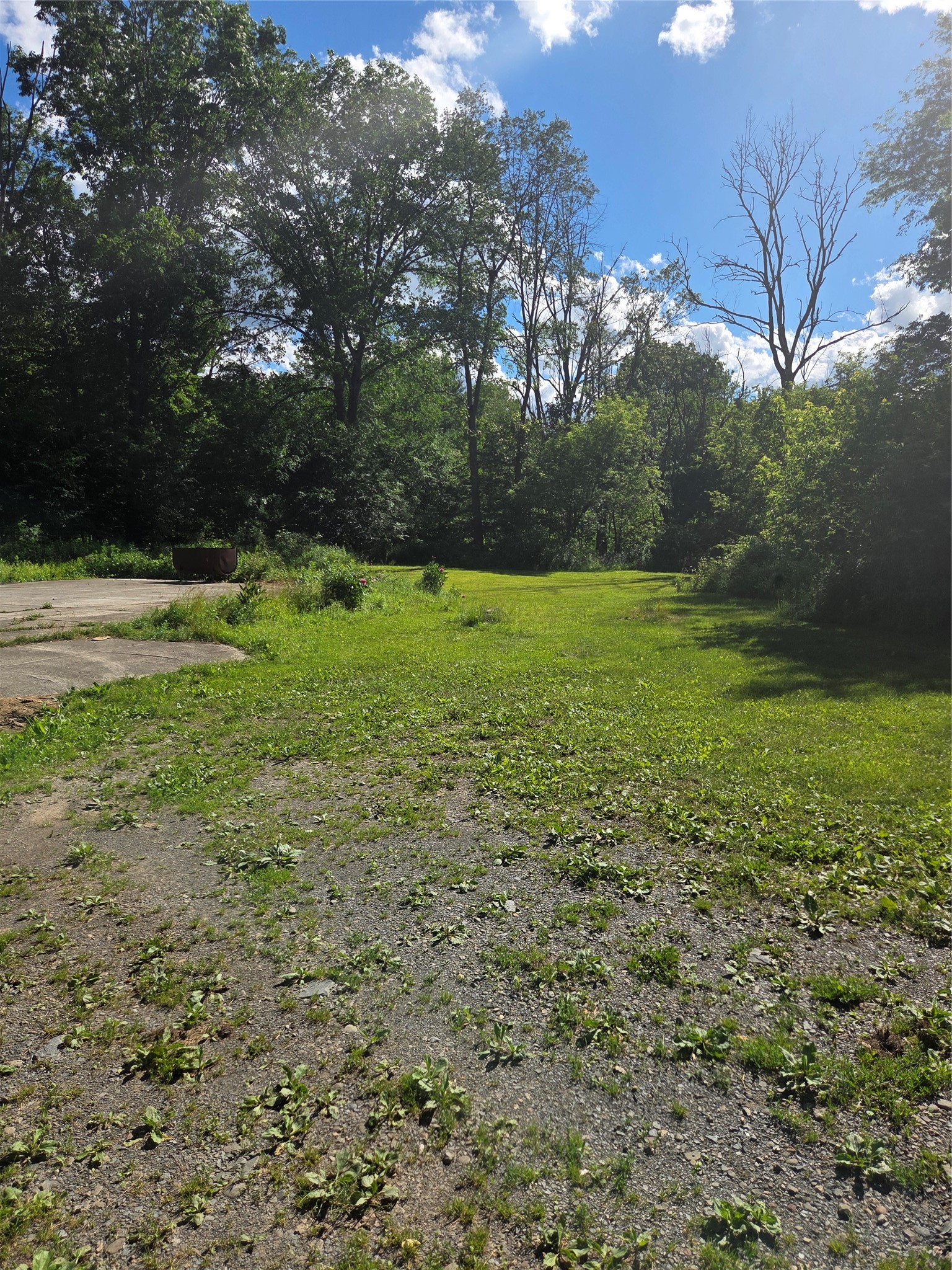 404 Ballyhack Road - Photo 3