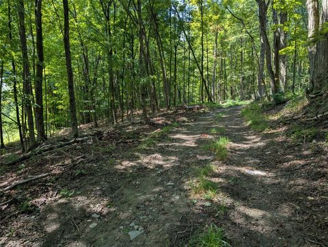 130 Brown Road Kirkwood NY 13795