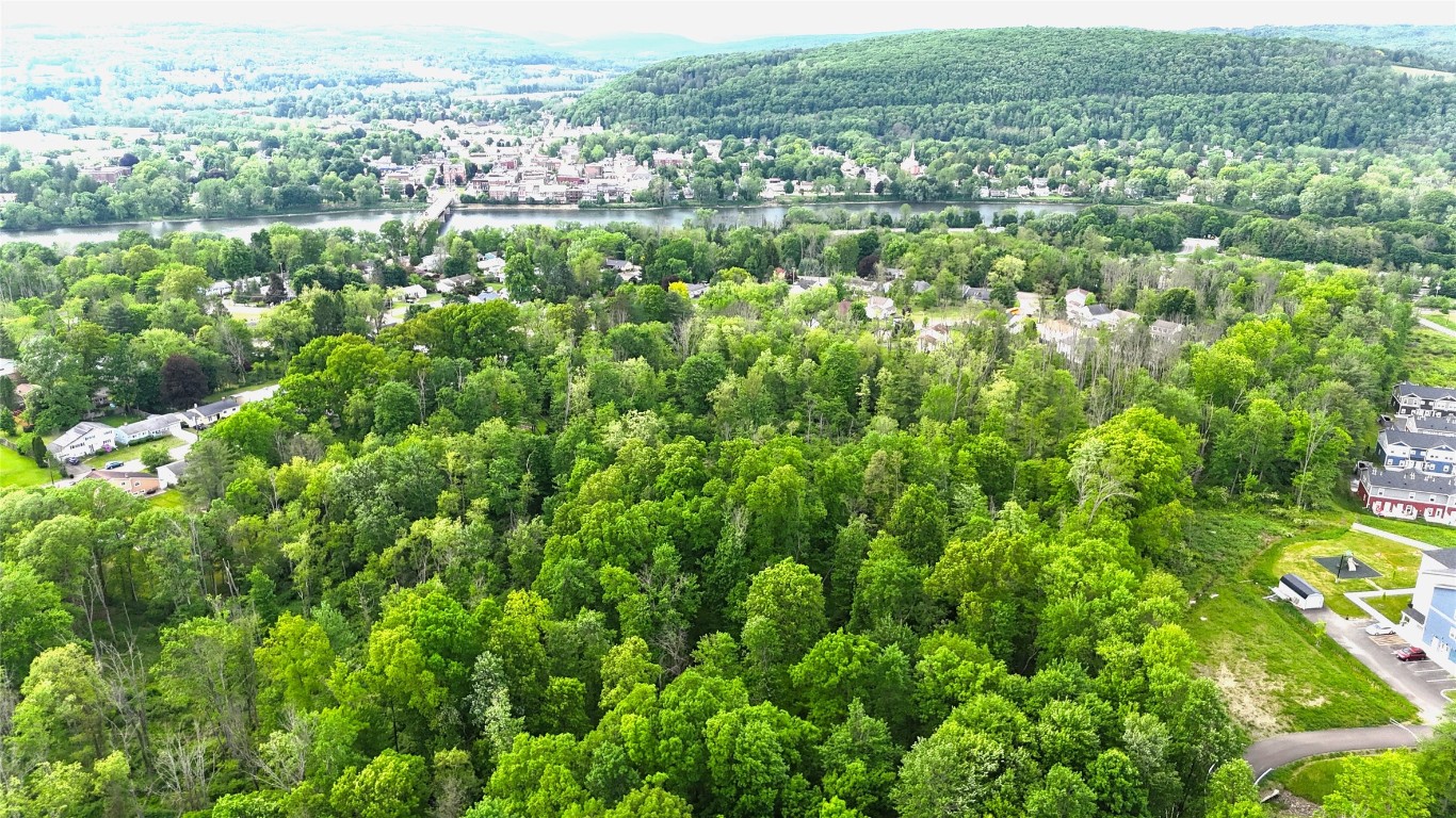 Orchard Ave Apple Blossom, Owego, New York image 9