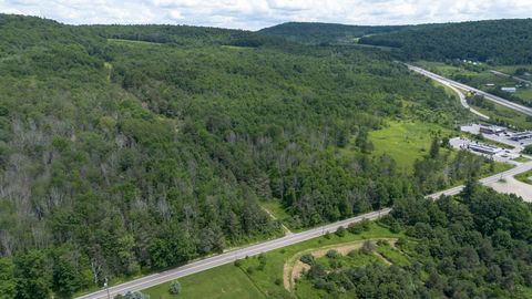 Vacant Land For Sale - 30-62 North Road<br/> Windsor, NY 13865