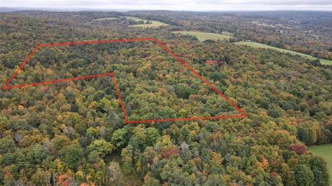 Vacant Land For Sale - 134 Page Rd Rd<br/> Chenango County, Chenango Forks, NY 13746