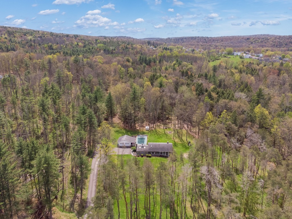 434 Tobey Road, Apalachin, New York image 28