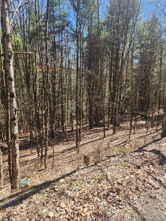 234 Tarbell Hill Road, Deposit, New York image 5