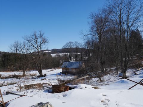 Vacant Land For Sale - 2428 State Hwy 206<br/> Delaware County, Masonville, NY 13733