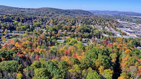 225 Southwood & 217 Jensen Drive Vestal NY 13850