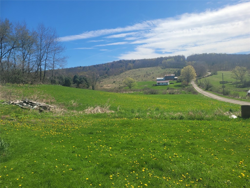 3632 Wilson Road, Berkshire, New York image 19