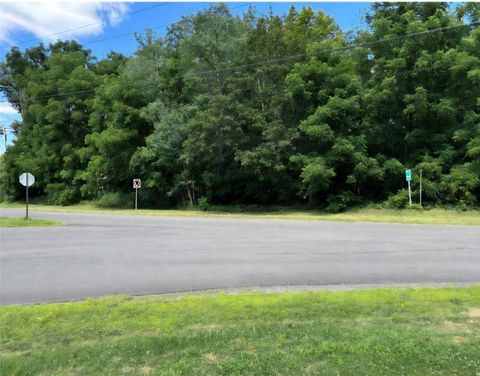 Vacant Land For Sale - 19 Haskins Road<br/> Broome County, Kirkwood, NY 13795