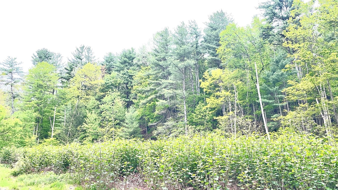 33 E Maine Road, Johnson City, New York image 2