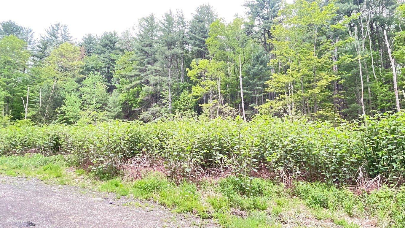 33 E Maine Road, Johnson City, New York image 1