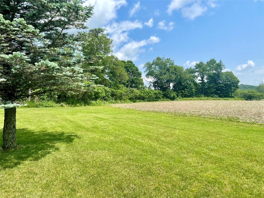 1564 Park Settlement Road, Owego, New York image 38