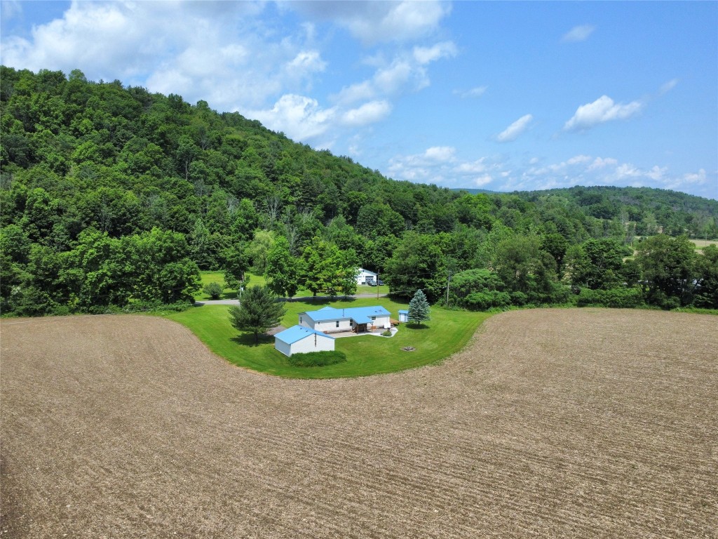 1564 Park Settlement Road, Owego, New York image 43