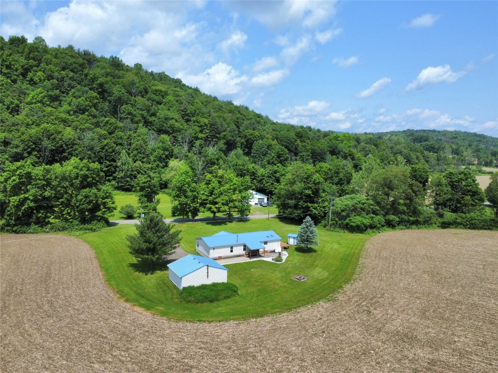 1564 Park Settlement Road, Owego, New York image 41